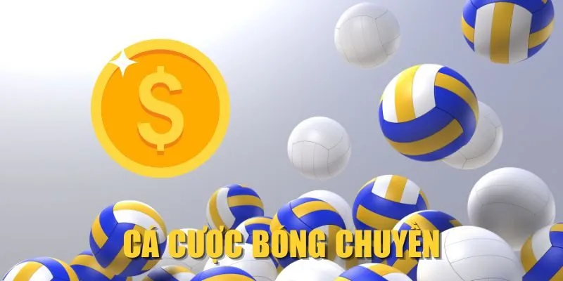 Cá Cược Bóng Chuyền| Luật Chơi Và Cách Cược Chuẩn Xác
