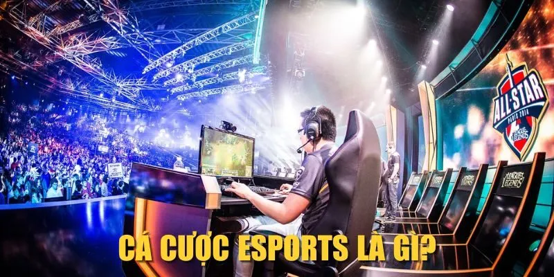 Cá cược Esports là gì?
