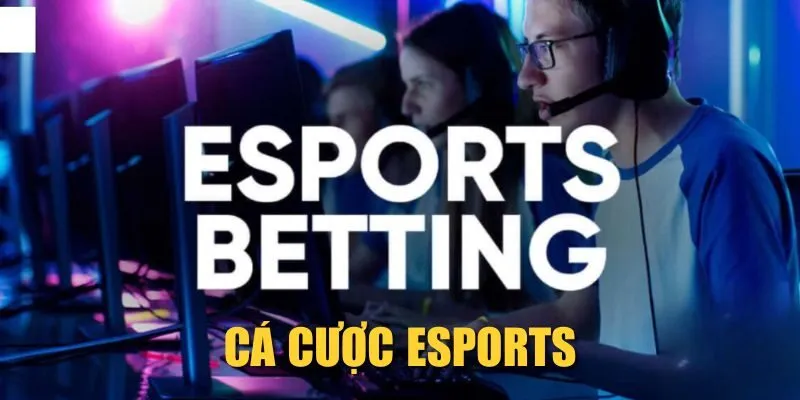 Cá Cược Esports ZBET| Chơi Game Hay, Nhận Thưởng Về Tay