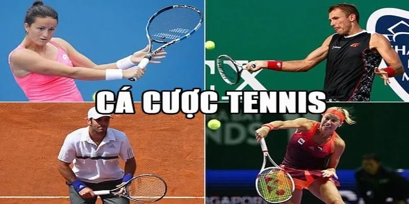 Cá Cược Tennis - Căng Thẳng Từng Điểm Số, Cơ Hội Bất Ngờ