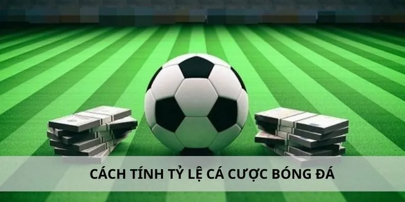 Cách Tính Tỷ Lệ Cá Cược Bóng Đá - Chính Xác Tại ZBET