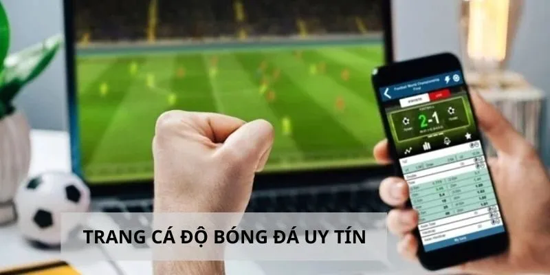 Trang Cá Độ Bóng Đá Uy Tín ZBET - Cược An Toàn Số 1